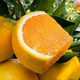 【10斤特惠】橙子10斤/5斤橙子新鲜当季水果手剥橙大甜橙赠剥橙器