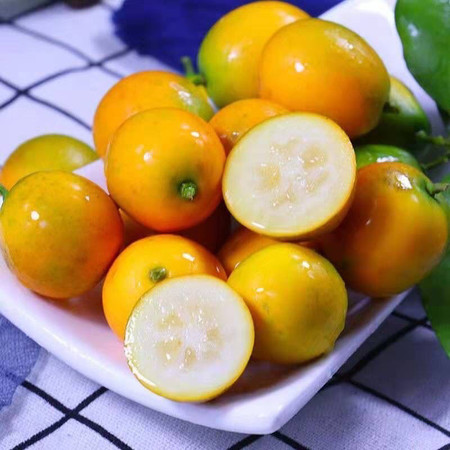 【纯甜】脆皮金桔广西小金桔新鲜水果当季砂糖橘子柑桔滑皮整箱