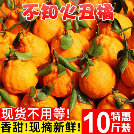 【10斤45.9正宗丑橘】不知火丑橘应季新鲜水果丑柑丑八怪橘子桔子粑粑柑图片