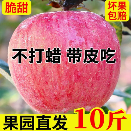 【10斤29.9】10斤红富士苹果新鲜水果当季丑苹果超脆甜图片