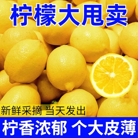 妙采园 黄柠檬新鲜柠檬鲜果薄皮一级水果柠檬新鲜批发价