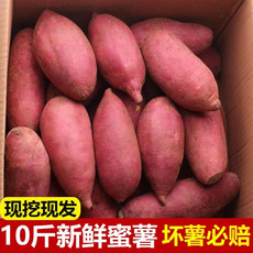 妙采园  新鲜红薯沙地板栗薯黄红心超甜小蜜薯番薯香薯山芋地瓜批发5/2斤