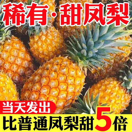 【超甜】正宗金钻凤梨新鲜水果手撕无眼菠萝树上熟一整箱批发菠萝图片