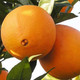 妙采园 正宗赣南脐橙新鲜水果橙子孕妇水果超甜橙子整箱批发