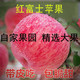 陕西红富士苹果新鲜现摘当季孕妇水果脆甜多汁10斤丑苹果多规格任选