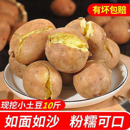 云南小土豆新鲜10斤马铃薯农产品蔬菜红皮洋芋迷你小黄心土豆图片