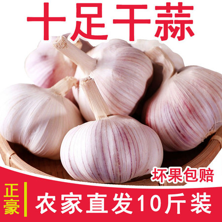 坏果包赔【10斤】干大蒜大蒜头农家干蒜批发干大蒜3/10斤紫白皮大蒜