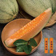 哈密瓜西州蜜25号甜瓜网纹瓜香瓜新鲜水果当季整箱2.5-10斤多规格