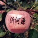 【精选红富士】山东烟台红富士苹果水果新鲜整箱苹果5斤脆甜多汁