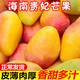 海南贵妃芒【5斤】应季新鲜水果红金龙芒果果园现摘热带忙果整箱批发包邮