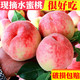 【5斤/10斤】新鲜水蜜桃脆桃子毛桃水果现摘5/10斤新鲜新鲜桃子