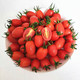【5斤39.9】现摘圣女果小西红柿新鲜蔬菜樱桃小番茄非千禧小柿子孕妇水果包邮