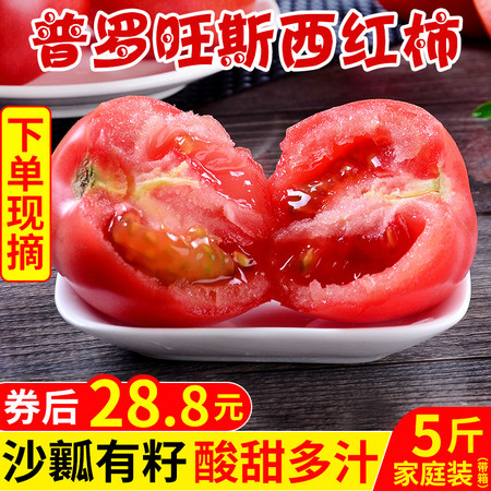 【5月23日下架】山东海阳普罗旺斯水果西红柿 自然熟 5斤装图片