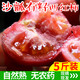 【5月23日下架】山东海阳普罗旺斯水果西红柿 自然熟 5斤装