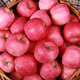 【带箱10斤】红富士苹果当季新鲜水果冰糖心丑苹果