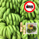 【3斤】广西自然熟香蕉水果新鲜非苹果香焦小米粉芭蕉批发3斤