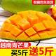 越南芒果玉芒青芒当季新鲜水果5/3/10斤(带箱)单果200g起批发包邮