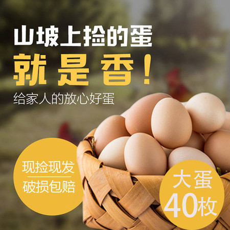 农家正宗散养土鸡蛋笨鸡蛋批发大个红心盒装整箱实发40枚破损包赔图片