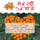 【无酸度小甜橙】橙子水果10/5斤新鲜冰糖橙子脐橙非柑橘桔麻阳橙