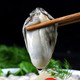 【送三斤】乳山生蚝鲜活海鲜贝壳牡蛎10斤5斤批发新鲜海蛎子一箱