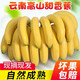 云南10斤自然熟香蕉新鲜孕妇水果批发当季整箱非红皮小米蕉芭蕉
