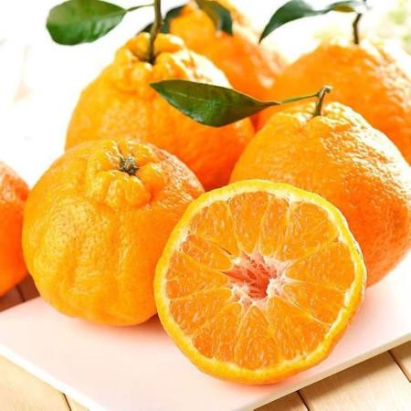 丑橘不知火丑八怪橘子水果10装斤耙耙柑皇帝柑桔子批发价沃柑