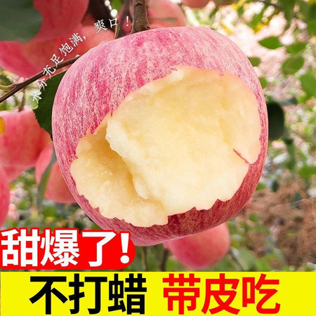 【限时特惠36.9】【冰糖心包脆甜】陕西红富士苹果新鲜水果10斤丑苹果不打蜡包邮图片