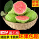 【坏果必赔】番石榴水果新鲜白红心芭乐果广西水果批发(2/5/8斤)