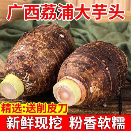 荔浦芋头新鲜现挖当季香芋新鲜广西槟榔紫藤芋头1斤/3斤/5斤/9斤图片