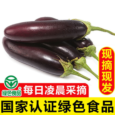 【新鲜现摘】湖南紫色长茄子大茄子紫茄子农家自种现摘当季新鲜蔬菜整箱3/5斤图片