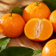 【正宗砂糖橘】广西正宗砂糖橘当应季新鲜水果超甜沙糖桔子2斤