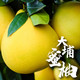 广东梅州大埔柚子白肉柚子50斤袋装蜜柚水果新鲜孕妇白心柚见丘香