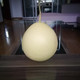 农家自产 柚子 琯溪蜜柚 鄢家香柚 白心柚 非红心柚 白心香柚两个净重4.5一5斤 白心