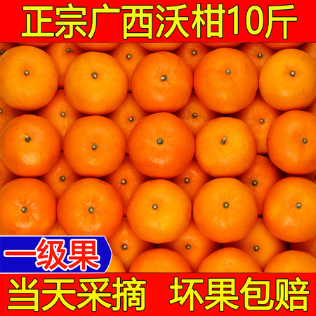 广西武鸣沃柑茂谷柑橘子当季新鲜水果10斤柑橘皇帝柑整箱批发图片