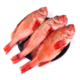 水泽 深海红石斑鱼 富贵鱼冰岛进口冷冻大眼鱼石斑鱼长寿鱼 500g/条（多规格可选）
