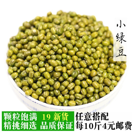 【买3送1斤】新货绿豆 500g 优质农家散装 绿豆 汤小绿豆类杂粮五谷发豆芽批发