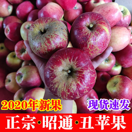【扶贫助农】云南特产 昭通苹果5斤大果 14-17个左右图片