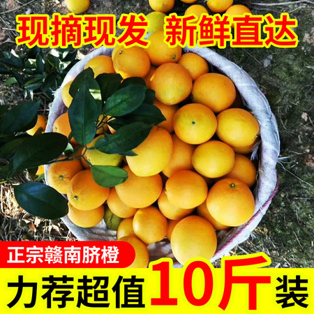 【正宗赣南脐橙-精品果10斤装】现摘现发江西脐橙橙子应季新鲜孕妇水果手剥橙儿童水果冰糖橙子