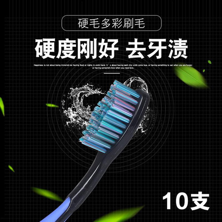 4-30支 牙刷硬毛 成人去牙渍烟渍美白家用男士中硬毛牙刷粗毛批发图片