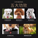 狗粮通用型5斤10斤40斤幼犬成犬泰迪白熊哈士奇金毛大中小型犬