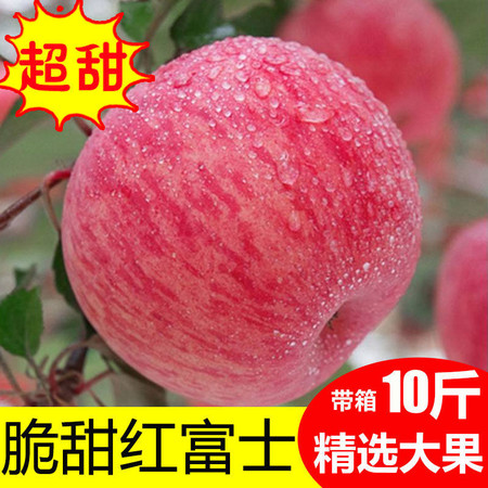 【冰糖心抢10斤】陕西红富士苹果水果新鲜10/5斤整箱包邮冰糖心