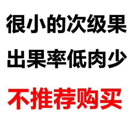 海南现摘新鲜树菠萝蜜1个整装当季水果果肉饱满热带水果香甜图片