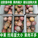 【送开果器】广西百香果大果5斤装2/3斤12个新鲜水果酸甜果大多汁