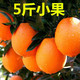 【500单&坏果包赔】正宗赣南脐橙5/10斤新鲜水果孕妇橙子批发