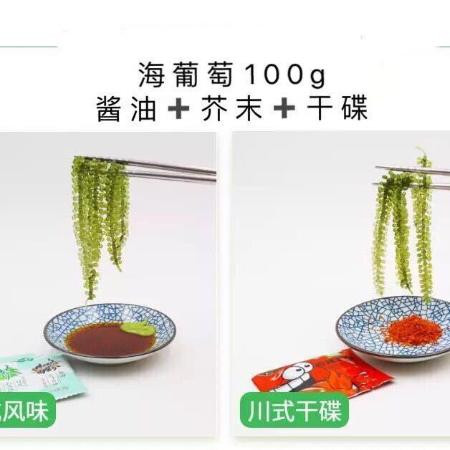 盐渍海葡萄100g新鲜活即食长寿菜海藻菜海菜裙带菜寿司绿色鱼子酱图片