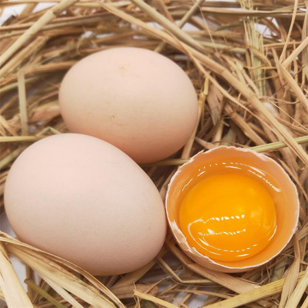 顺丰速递土鸡蛋40枚20枚新鲜土鸡蛋散养农村正宗柴鸡蛋批发整箱
