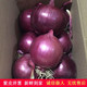 【5斤装】现挖紫皮洋葱包邮农家自种圆葱新鲜蔬菜【徐闻美食】