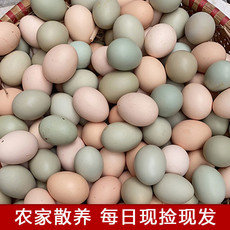 大牛哥 农家散养土鸡蛋正宗乌鸡蛋绿壳蛋混合装新鲜10-40枚整箱【徐闻美食】