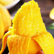 大牛哥 海南台农芒果当季热带新鲜水果小台芒批发包邮