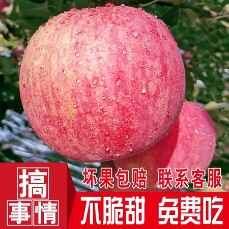 山西脆苹果应季水果新鲜当季红富士脆甜一整箱5斤装平果批发
